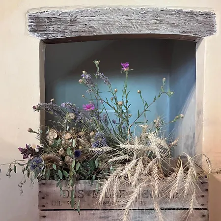 Domaine De Tayssou * Lauzerte