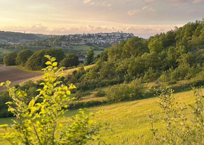 Domaine De Tayssou *