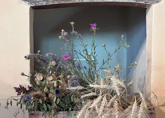 Domaine De Tayssou * Lauzerte